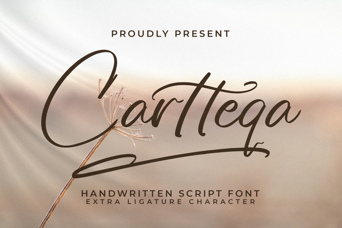 Шрифт Cartteqa