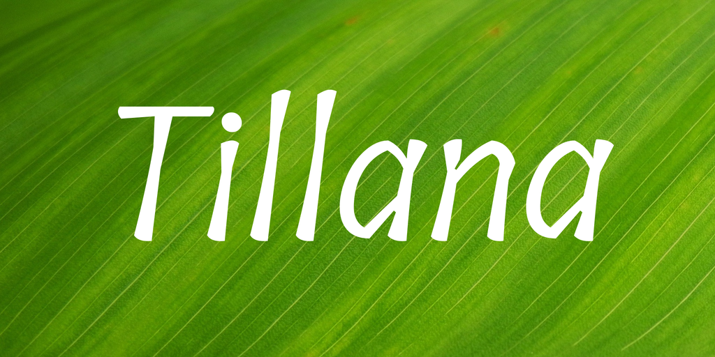 Шрифт Tillana