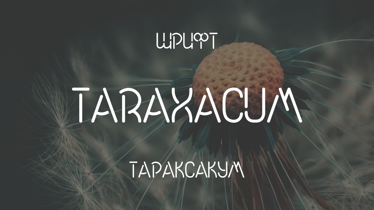 Шрифт Taraxacum