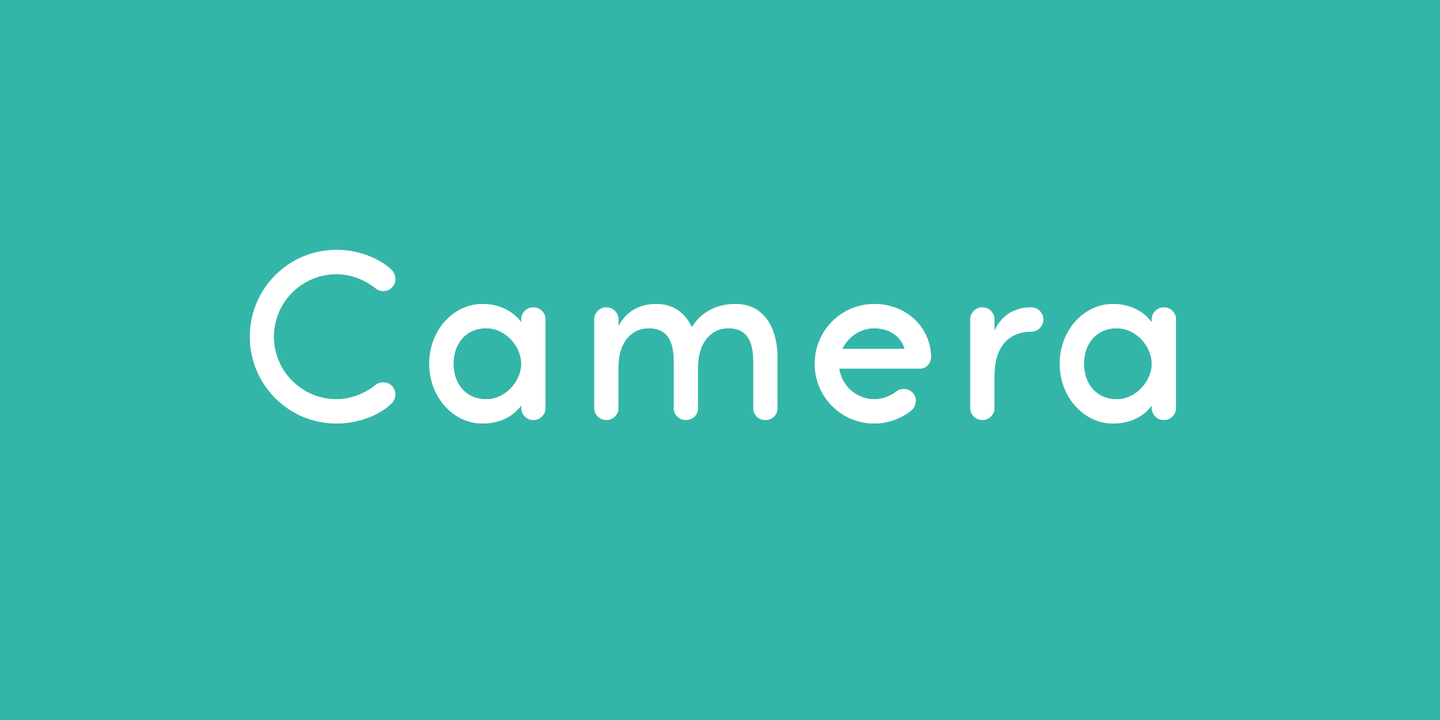 Шрифт Camera