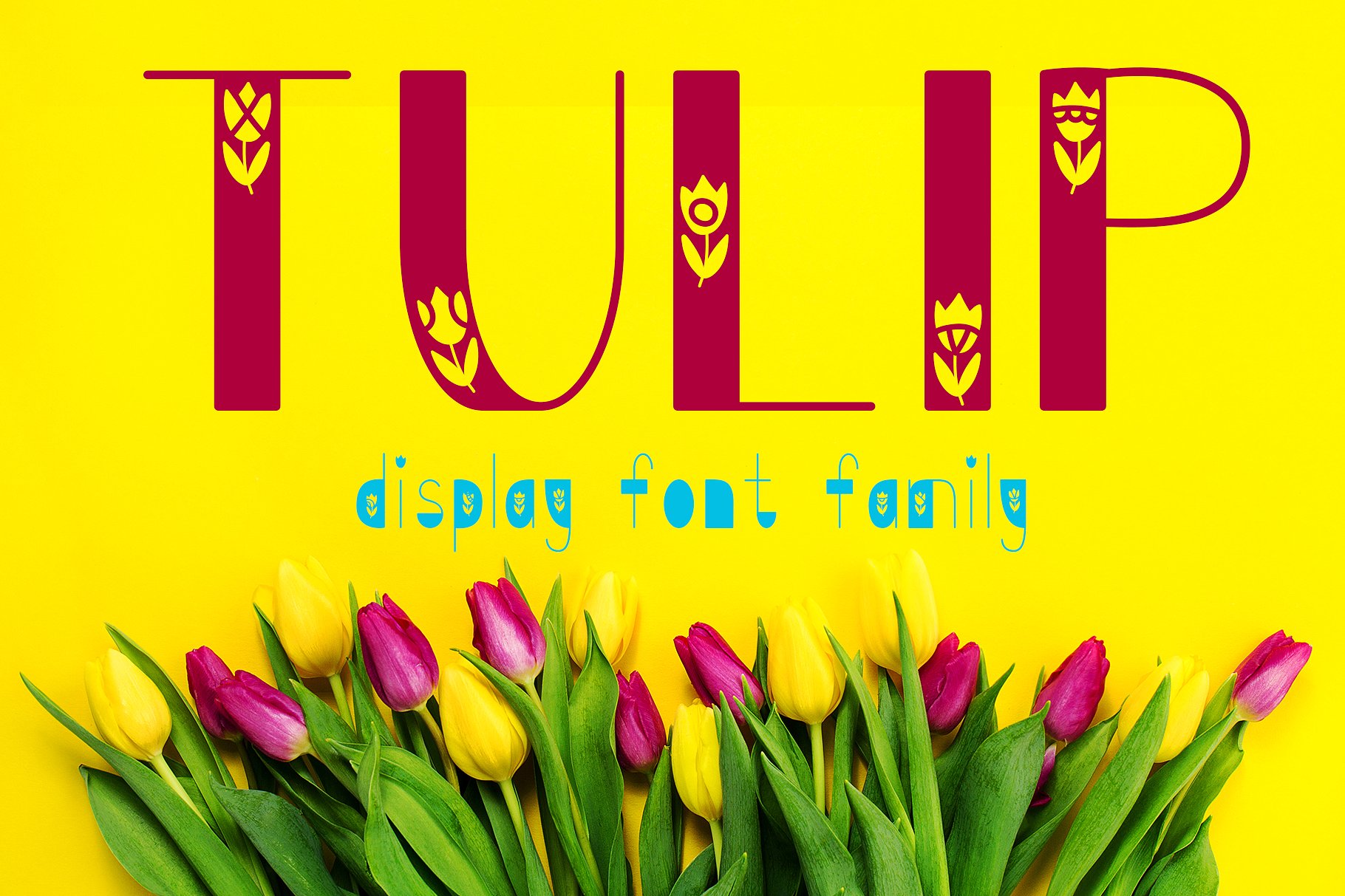 Шрифт Tulip