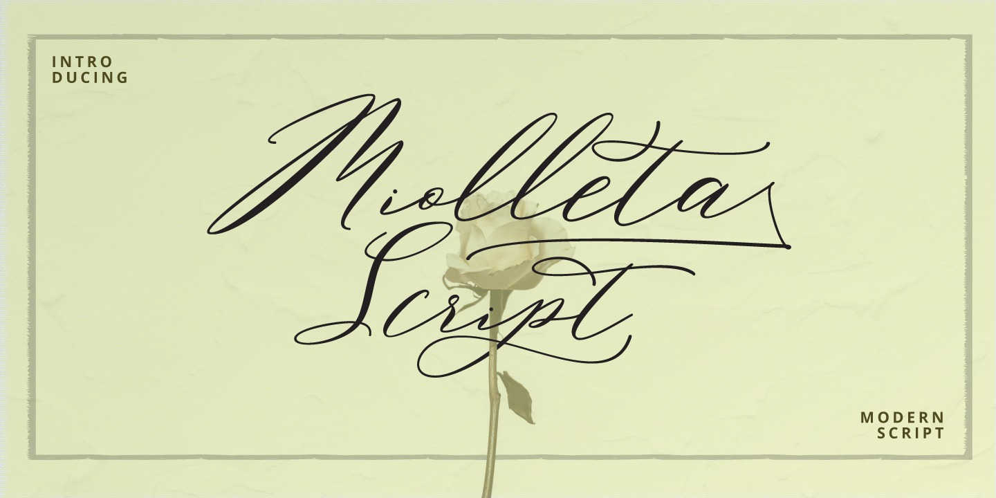 Шрифт Miolleta Script