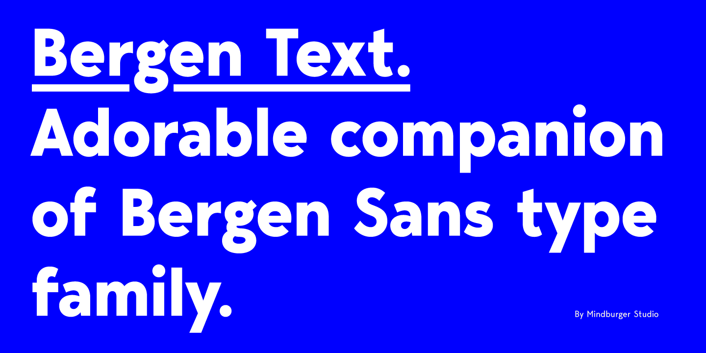 Шрифт Bergen Text