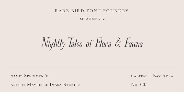 Шрифт Rare Bird Specimen