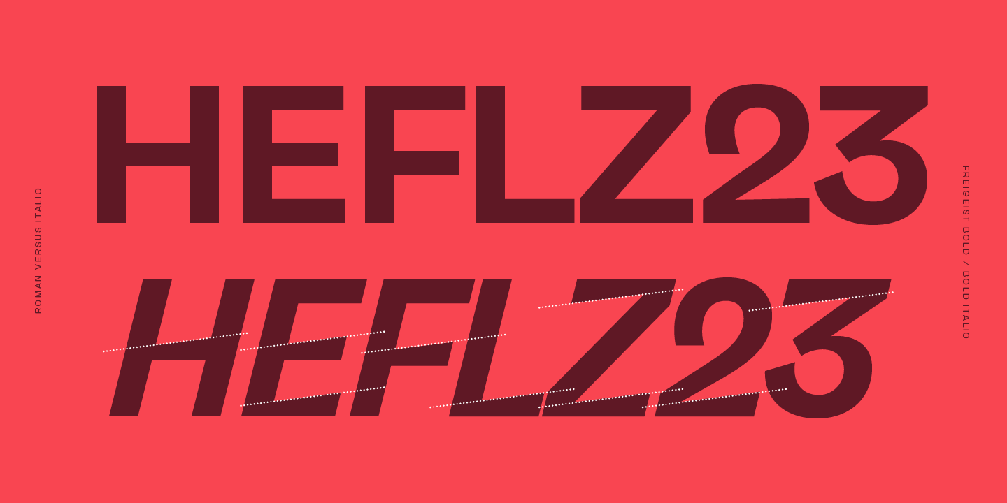 Wide fonts. Шрифт Freigeist. Freigeist XWIDE Regular. R1/XCON. XCON.