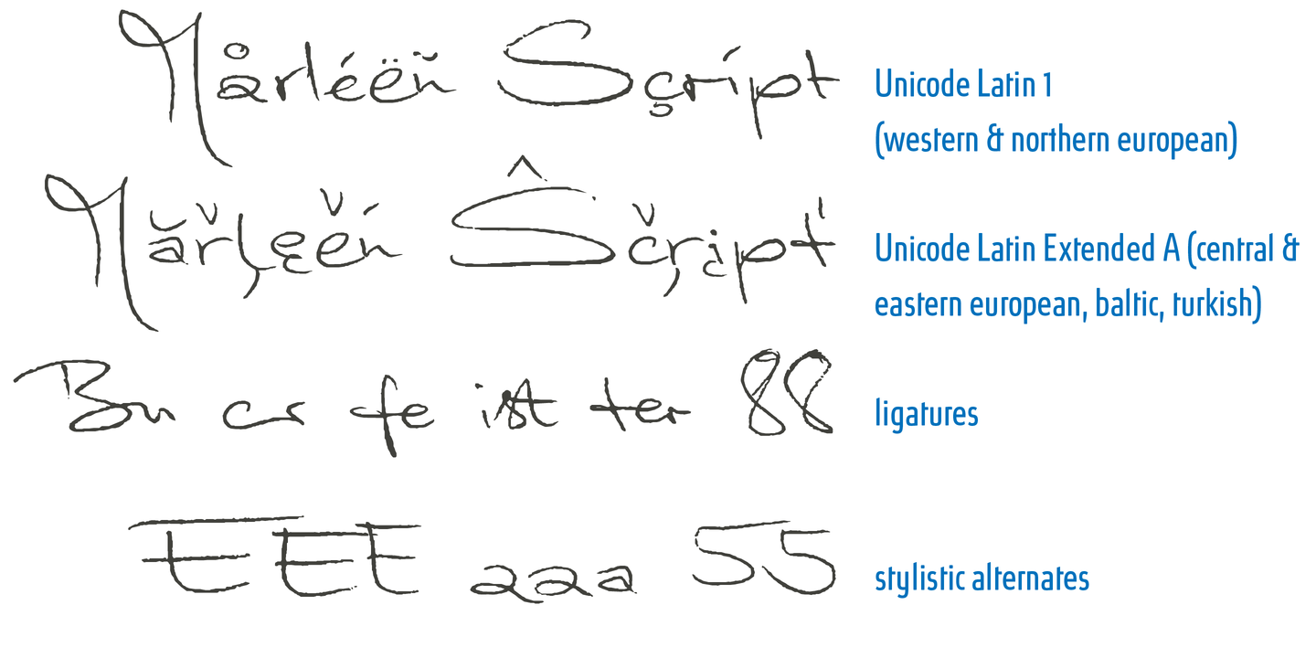 Шрифт Marleen Script: скачать и установить на web сайт