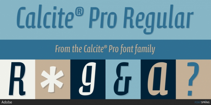 Шрифт Calcite Pro