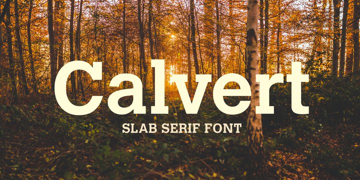 Шрифт Calvert