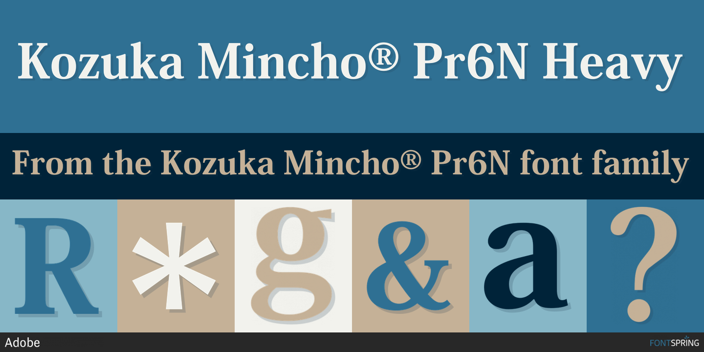 Kozuka Mincho Pr6N