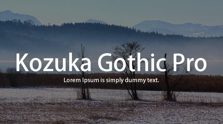 Шрифт Kozuka Gothic Pro