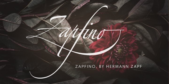 Шрифт Zapfino Extra