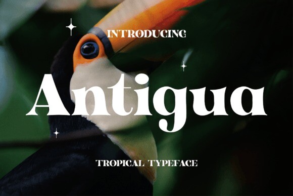 Шрифт Antigua