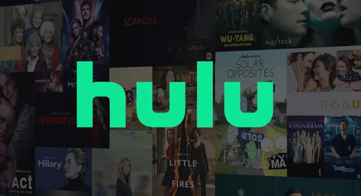 Hulu Style