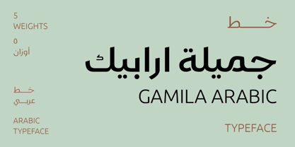 Шрифт Gamila Arabic W05
