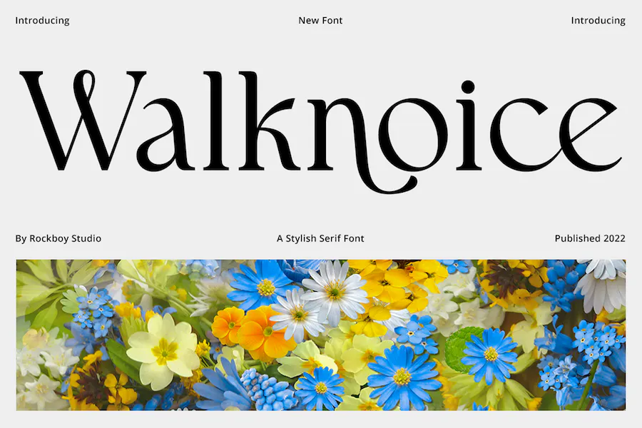 Шрифт Walknoice