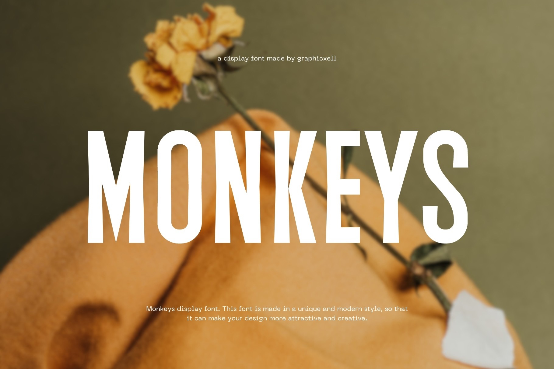 Шрифт Monkeys