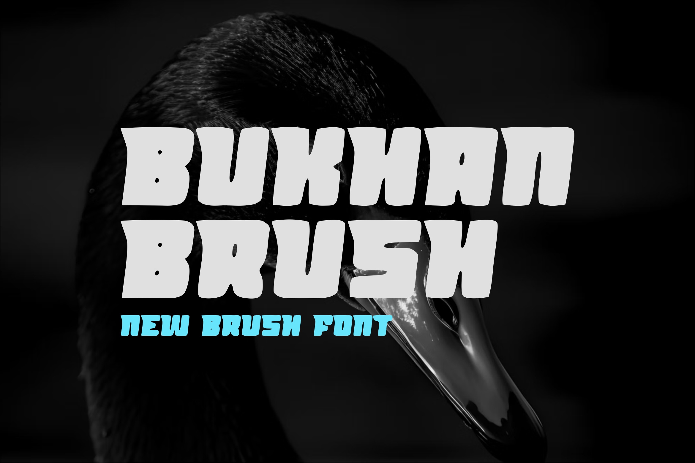 Шрифт Bukhan Brush
