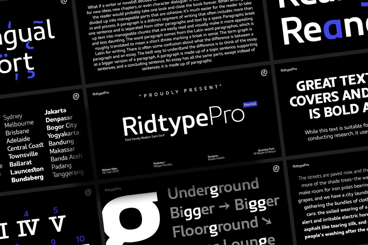 Шрифт Ridtype Pro