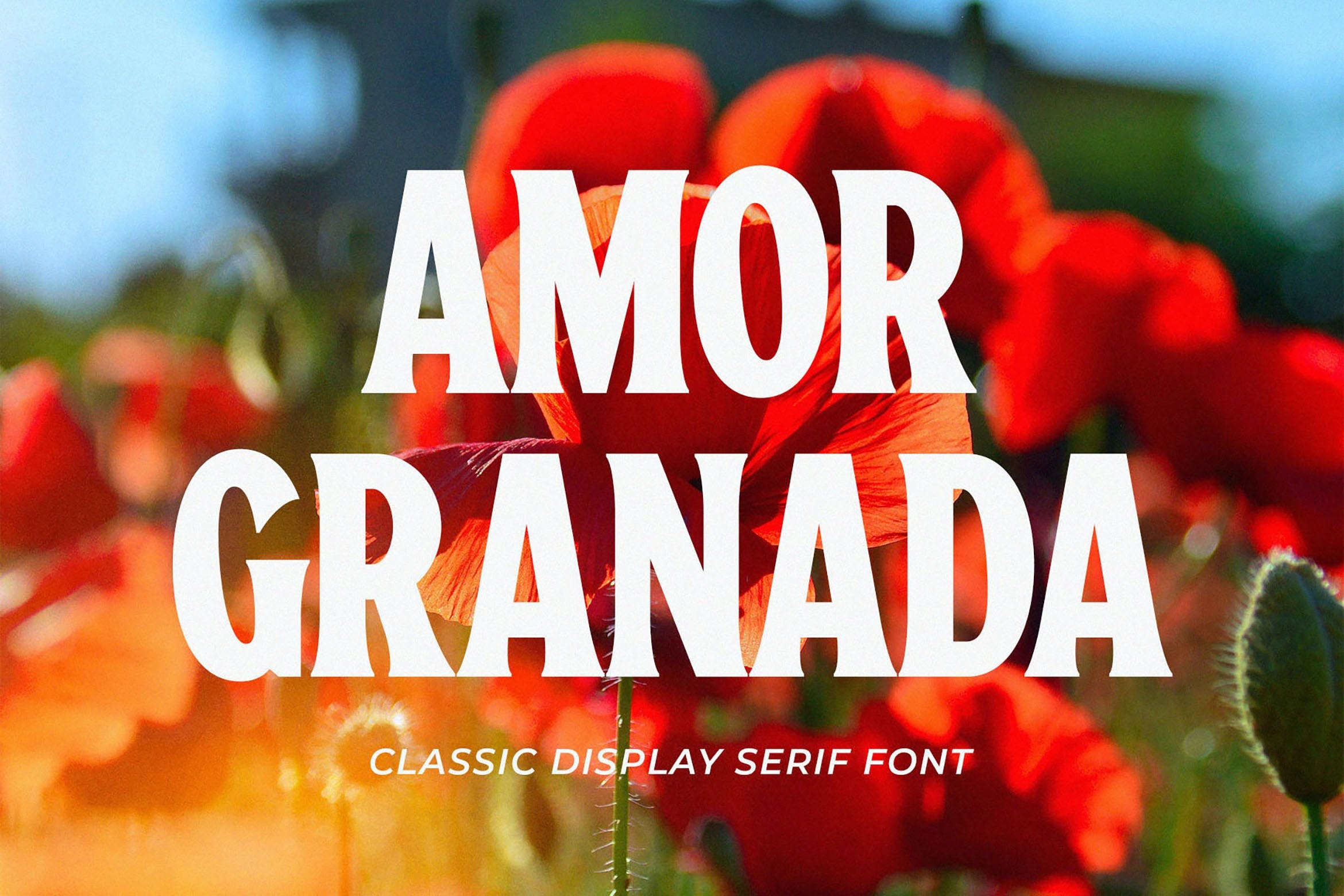 Шрифт Amor Granada