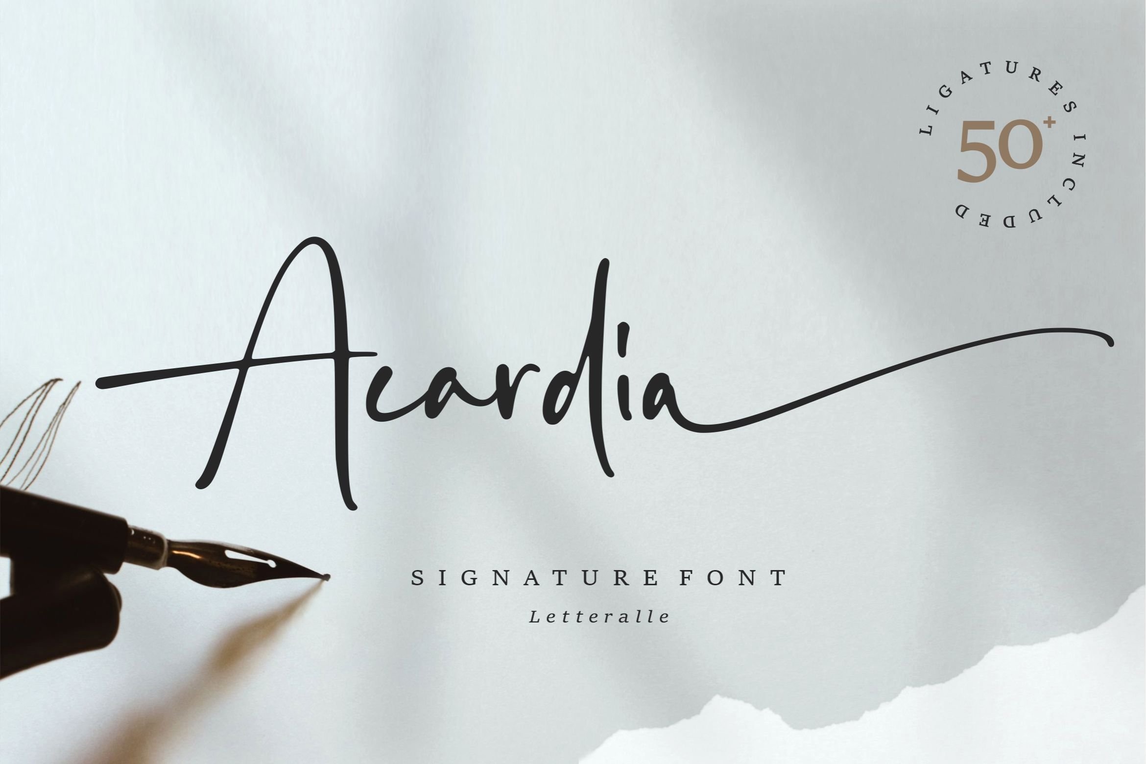 Шрифт Acardia Signature