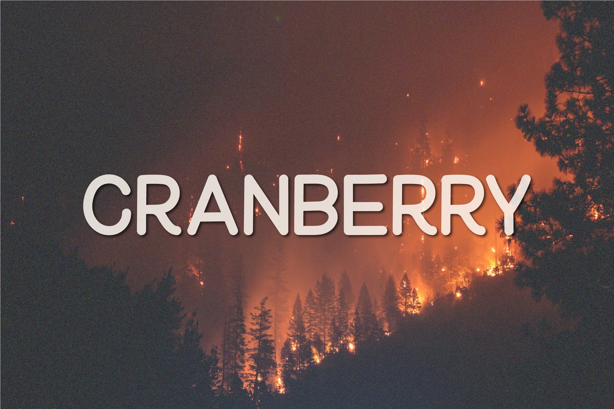 Шрифт Cranberry
