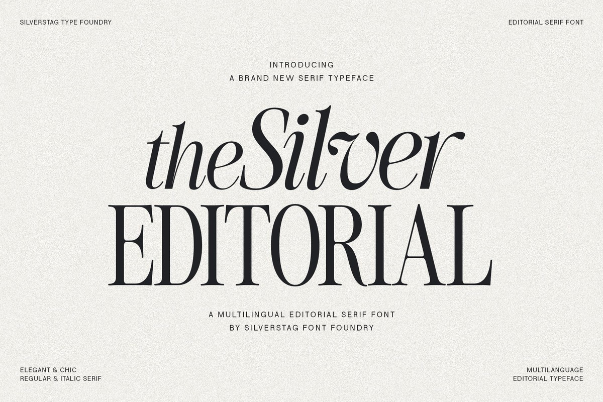 Шрифт The Silver Editorial