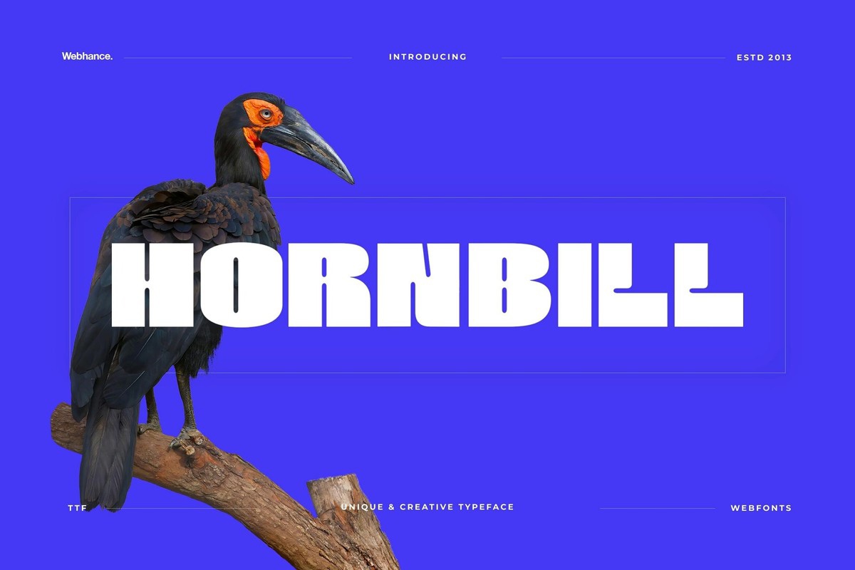 Шрифт Hornbill Display Bold