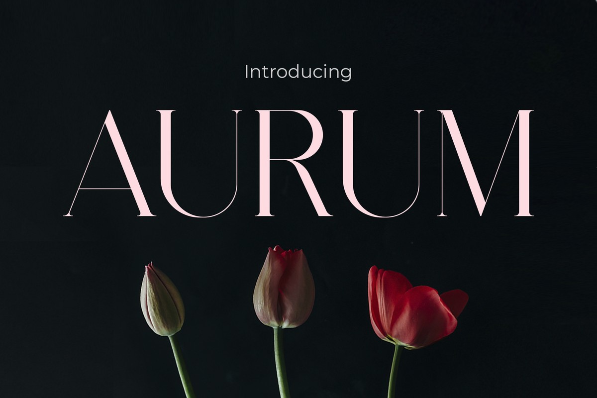 Шрифт Aurum