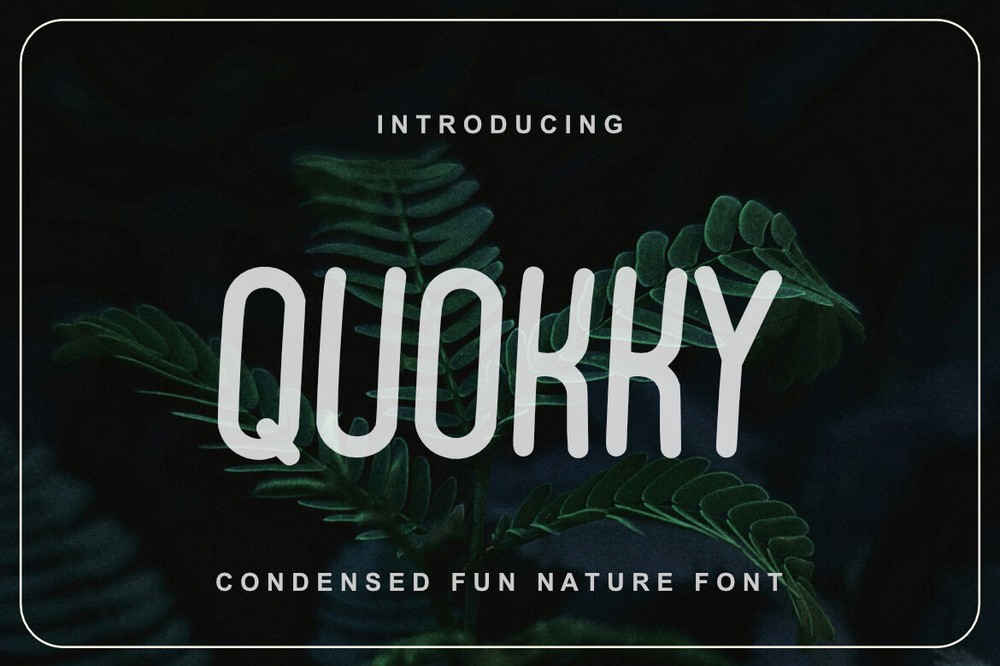 Quokky