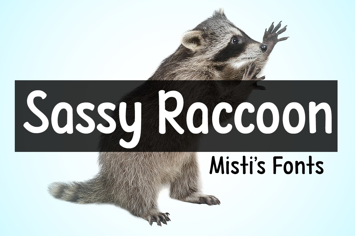 Шрифт Sassy Raccoon