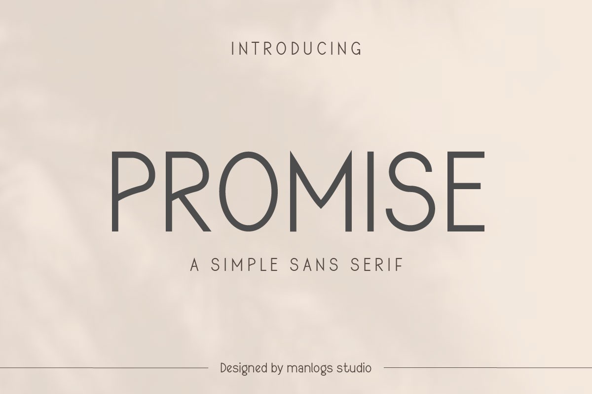 Promise