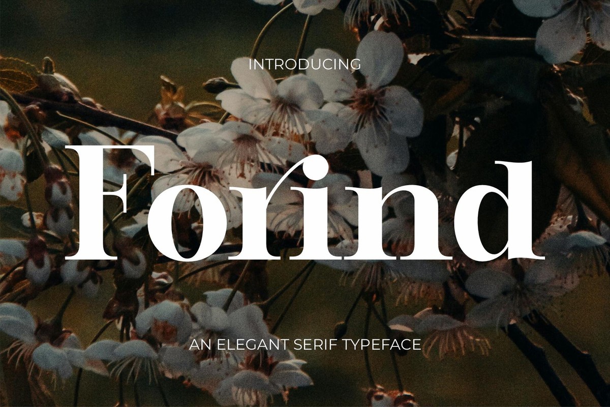 Шрифт Forind