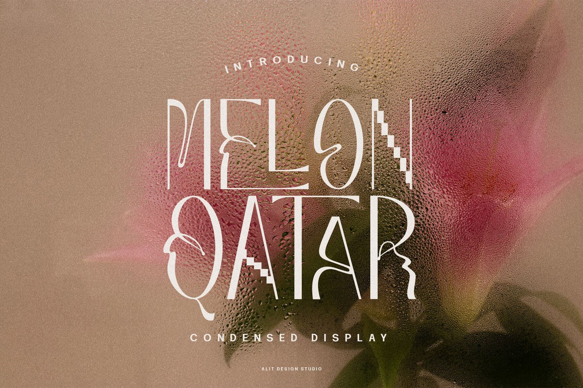 Melon Qatar